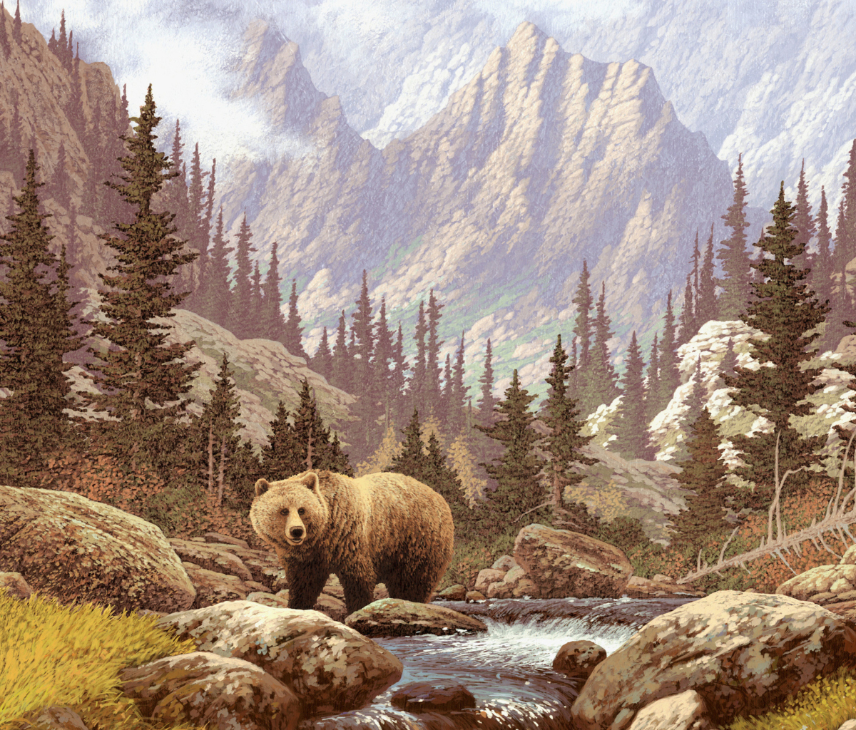 Sfondi Bear At Mountain River 1200x1024