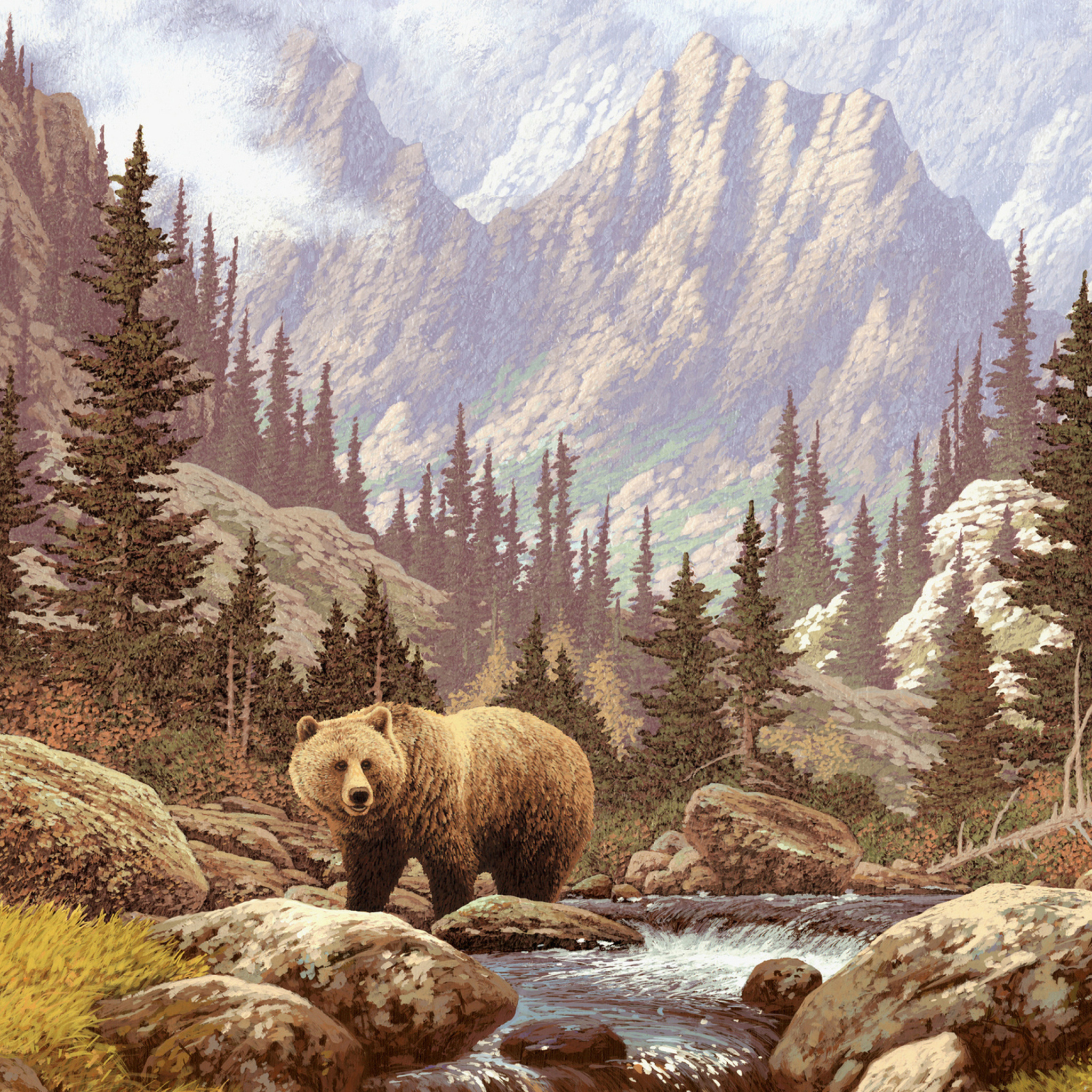 Bear At Mountain River wallpaper 2048x2048