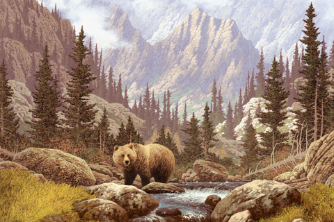 Fondo de pantalla Bear At Mountain River 480x320