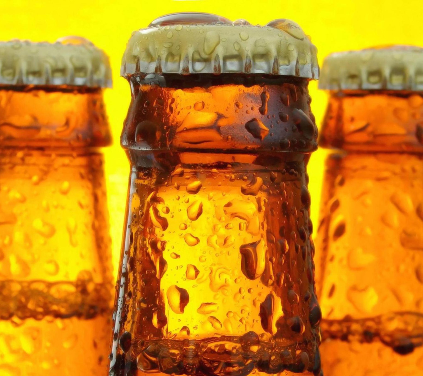 Cold Beer Bottles wallpaper 1440x1280