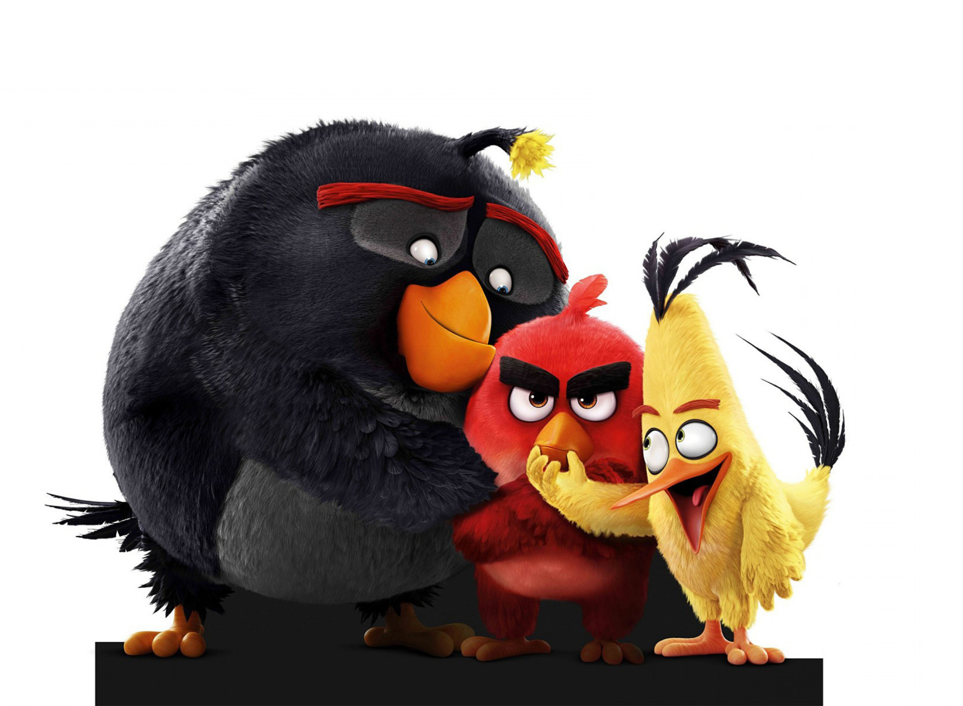 Обои Angry Birds the Movie 2016 1920x1408