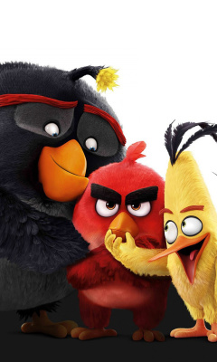 Angry Birds the Movie 2016 wallpaper 240x400
