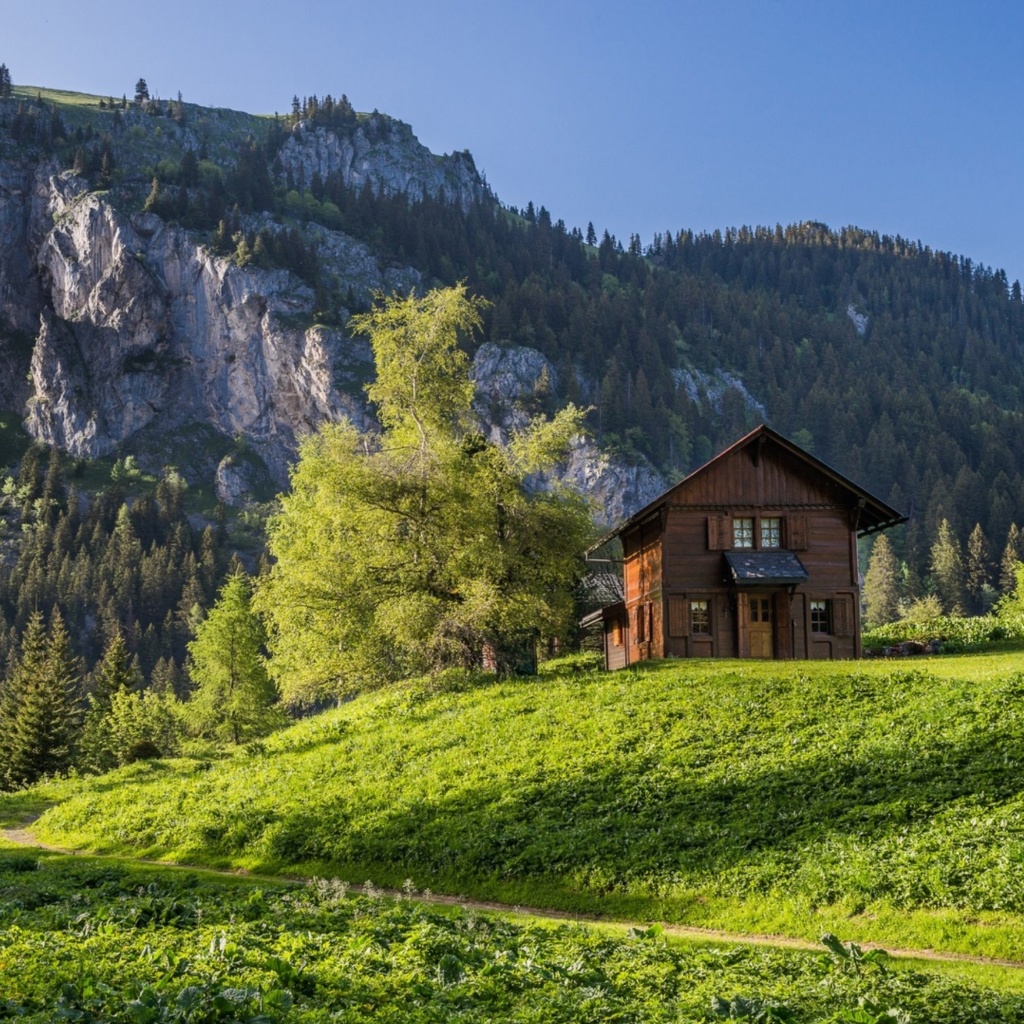Обои Green House in Swiss Alps 1024x1024