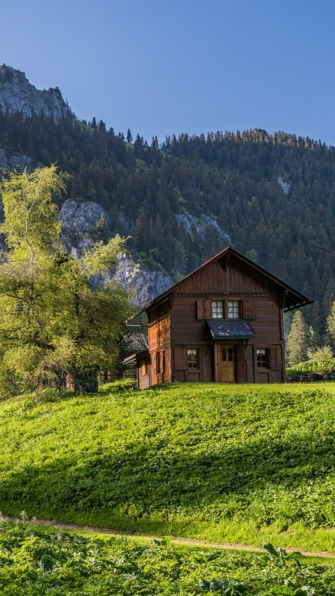 Обои Green House in Swiss Alps 1080x1920