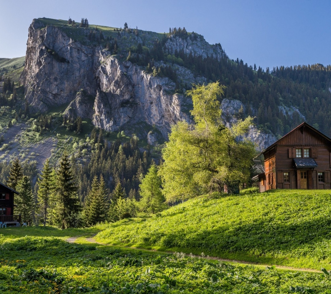 Обои Green House in Swiss Alps 1080x960