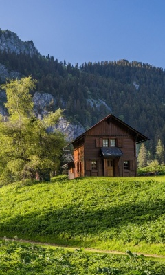 Sfondi Green House in Swiss Alps 240x400