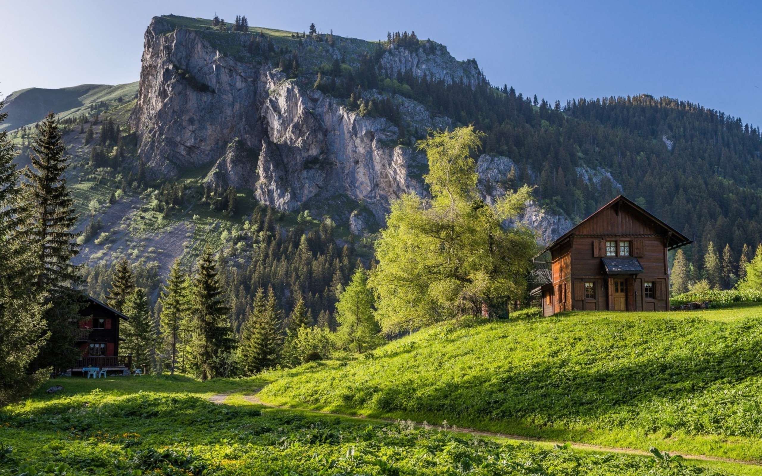 Обои Green House in Swiss Alps 2560x1600