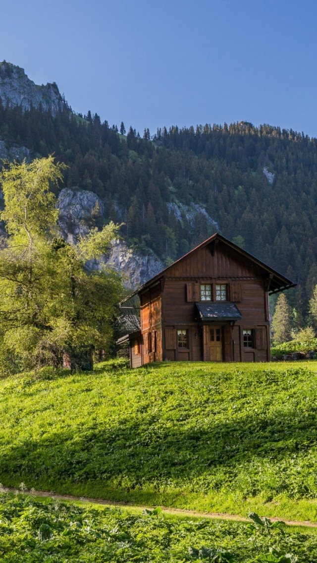 Sfondi Green House in Swiss Alps 640x1136