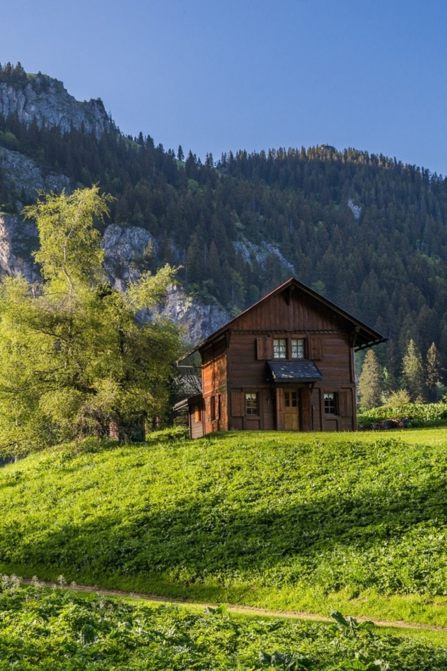 Fondo de pantalla Green House in Swiss Alps 640x960