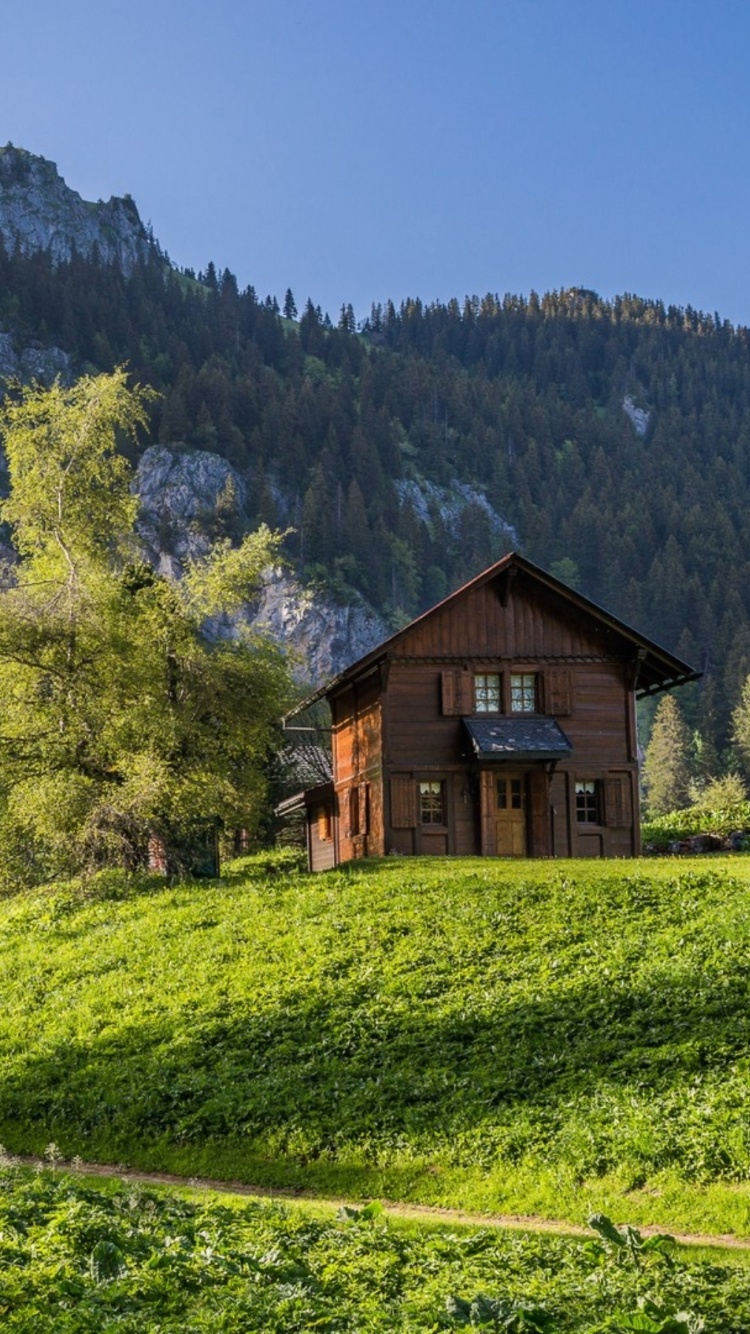 Green House in Swiss Alps wallpaper 750x1334