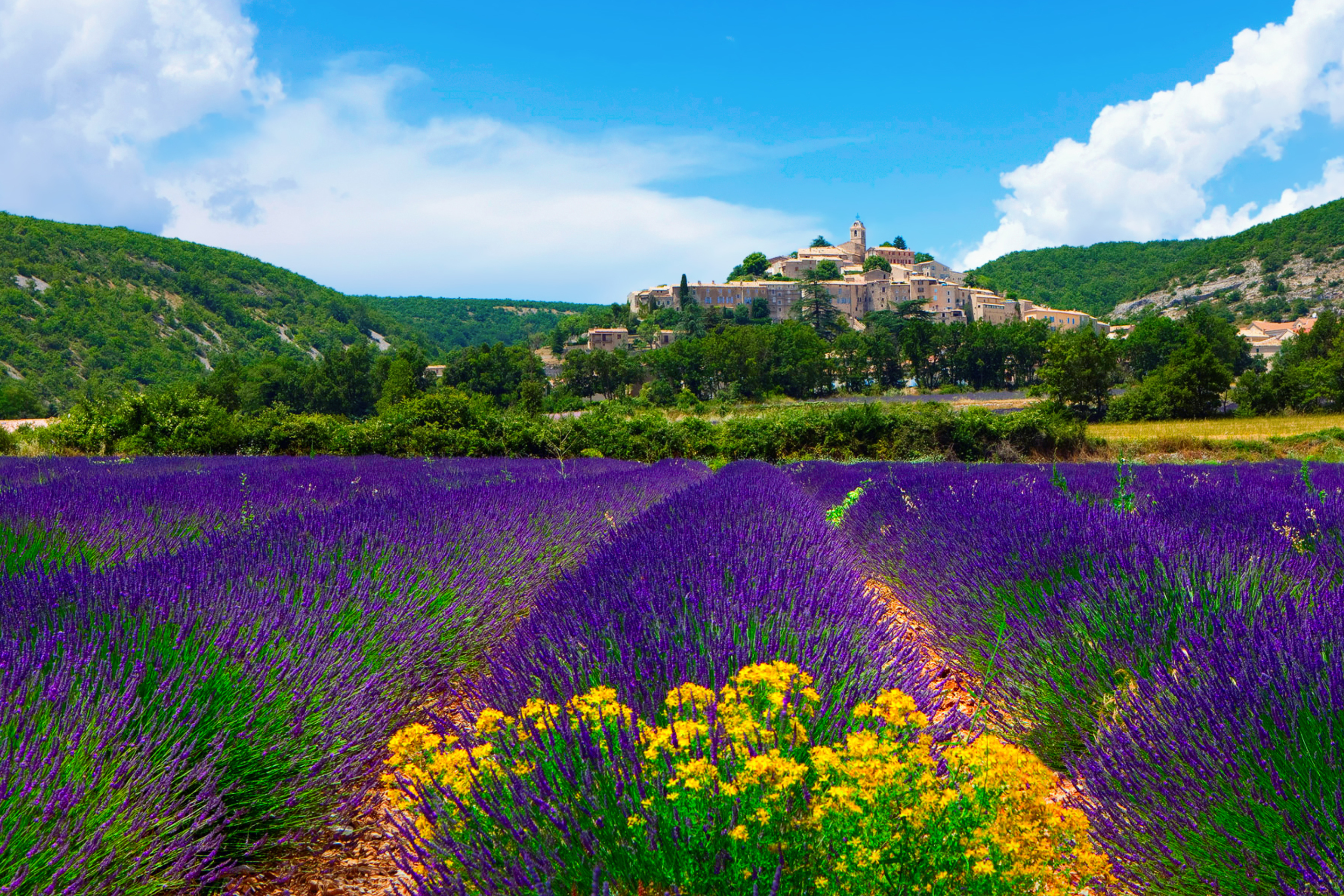 Screenshot №1 pro téma Lavender Field In Provence France 2880x1920