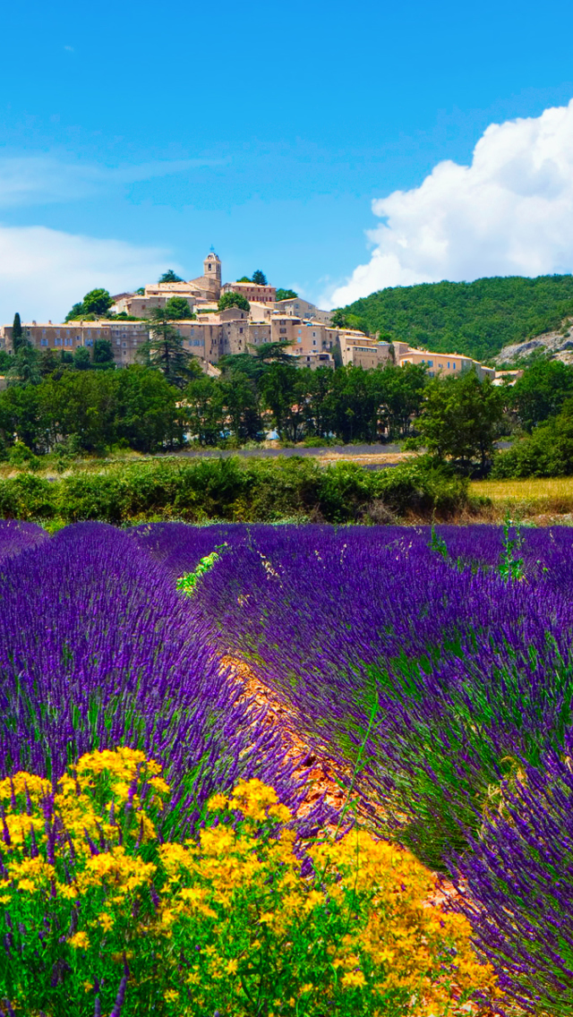 Das Lavender Field In Provence France Wallpaper 640x1136