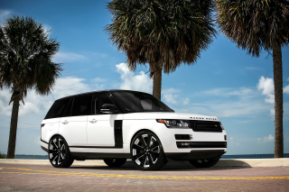 Range Rover White Picture for Android, iPhone and iPad