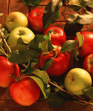 Apples And Juicy Leaves - Obrázkek zdarma pro 240x400