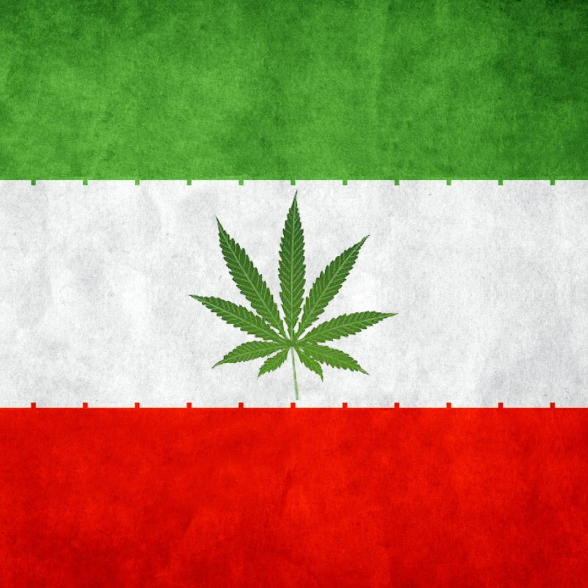 Обои Iran Weeds Flag 2048x2048