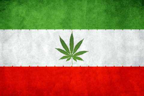 Fondo de pantalla Iran Weeds Flag 480x320