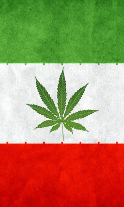 Screenshot №1 pro téma Iran Weeds Flag 480x800