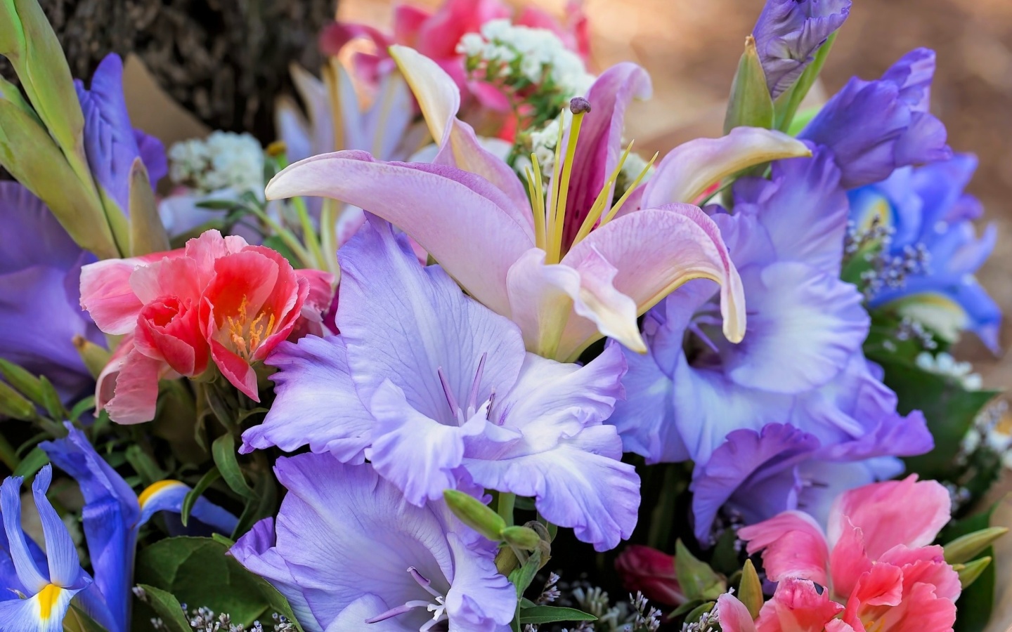 Screenshot №1 pro téma Lilies Flowers 1440x900