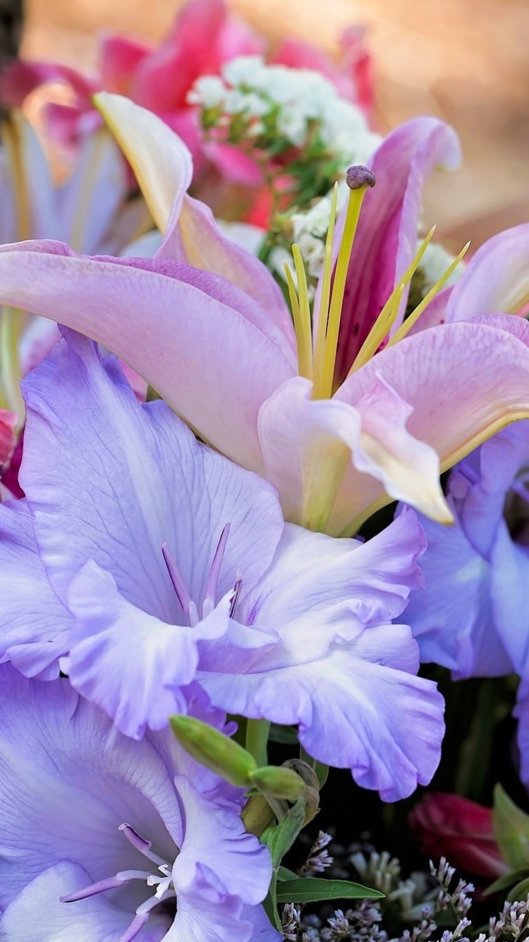 Lilies Flowers wallpaper 750x1334