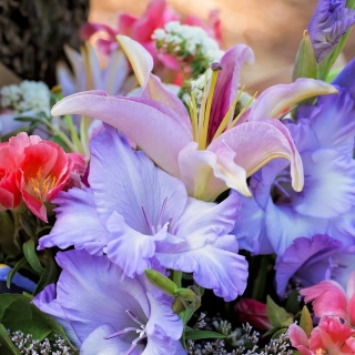 Lilies Flowers sfondi gratuiti per 128x128