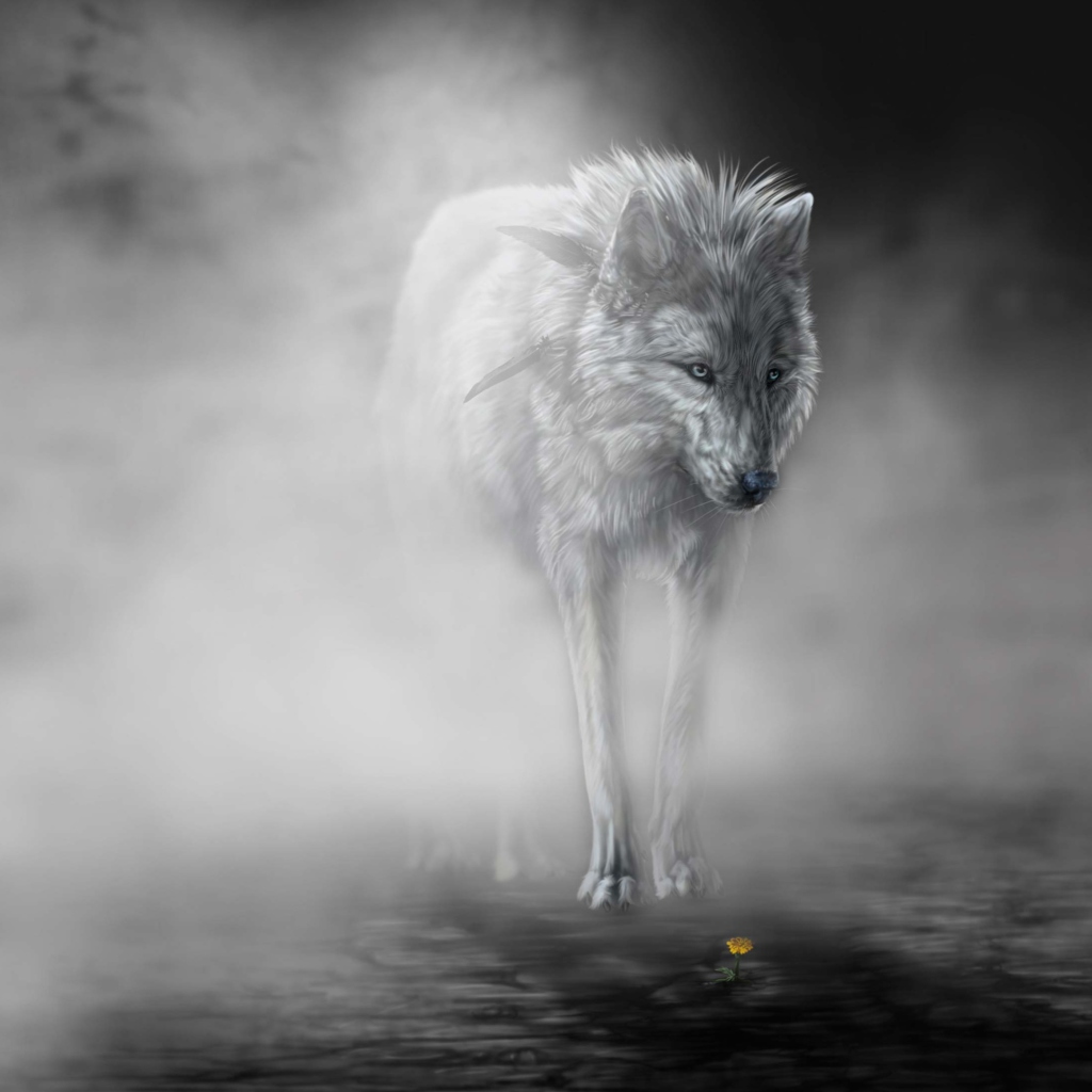 Fondo de pantalla Lonely Wolf 1024x1024