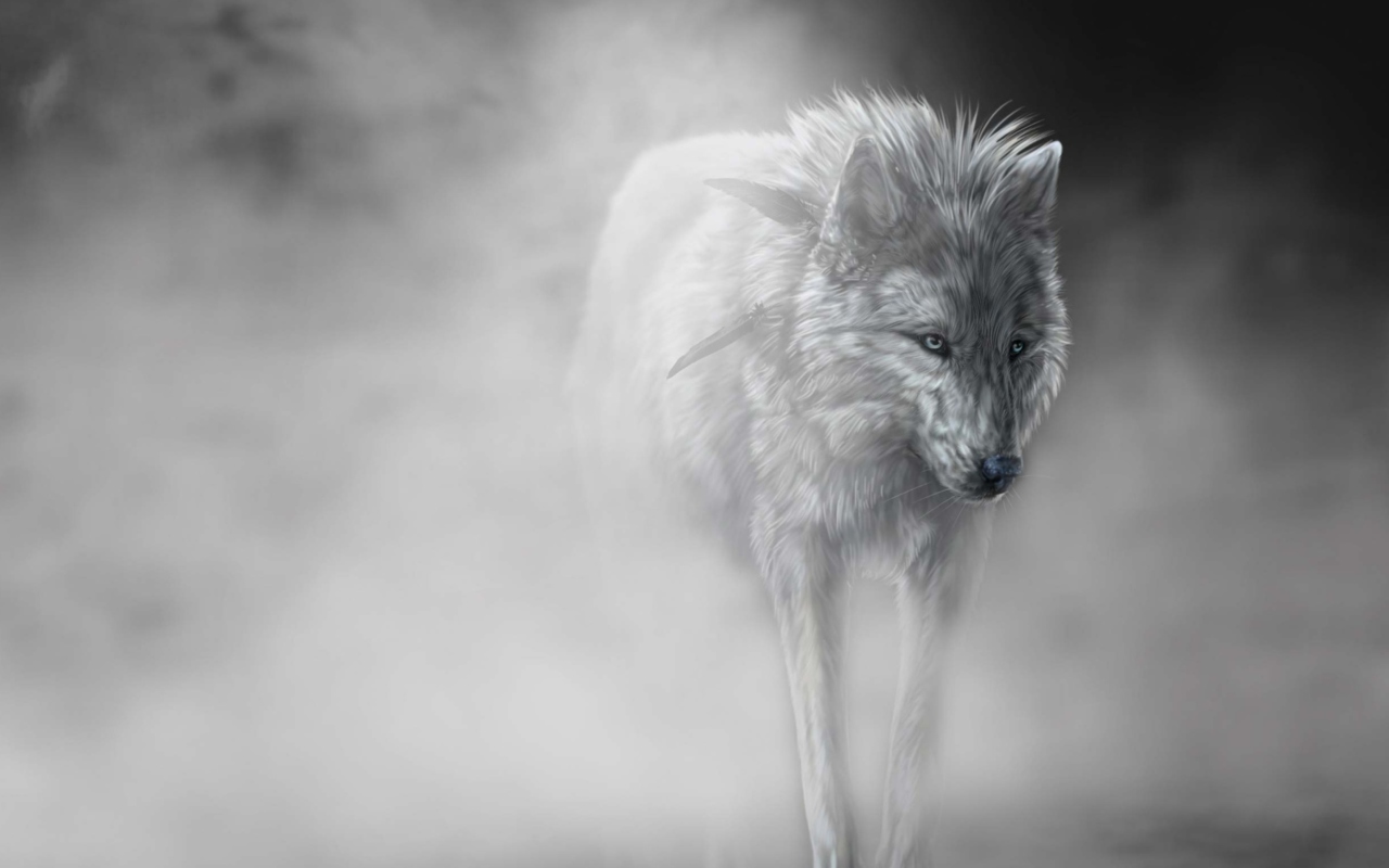 Screenshot №1 pro téma Lonely Wolf 1280x800