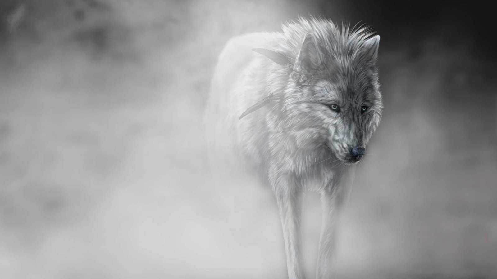 Fondo de pantalla Lonely Wolf 1600x900