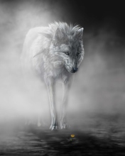 Fondo de pantalla Lonely Wolf 176x220