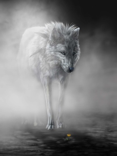 Lonely Wolf wallpaper 240x320