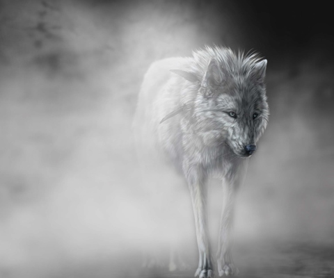 Das Lonely Wolf Wallpaper 480x400