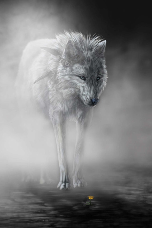 Fondo de pantalla Lonely Wolf 640x960