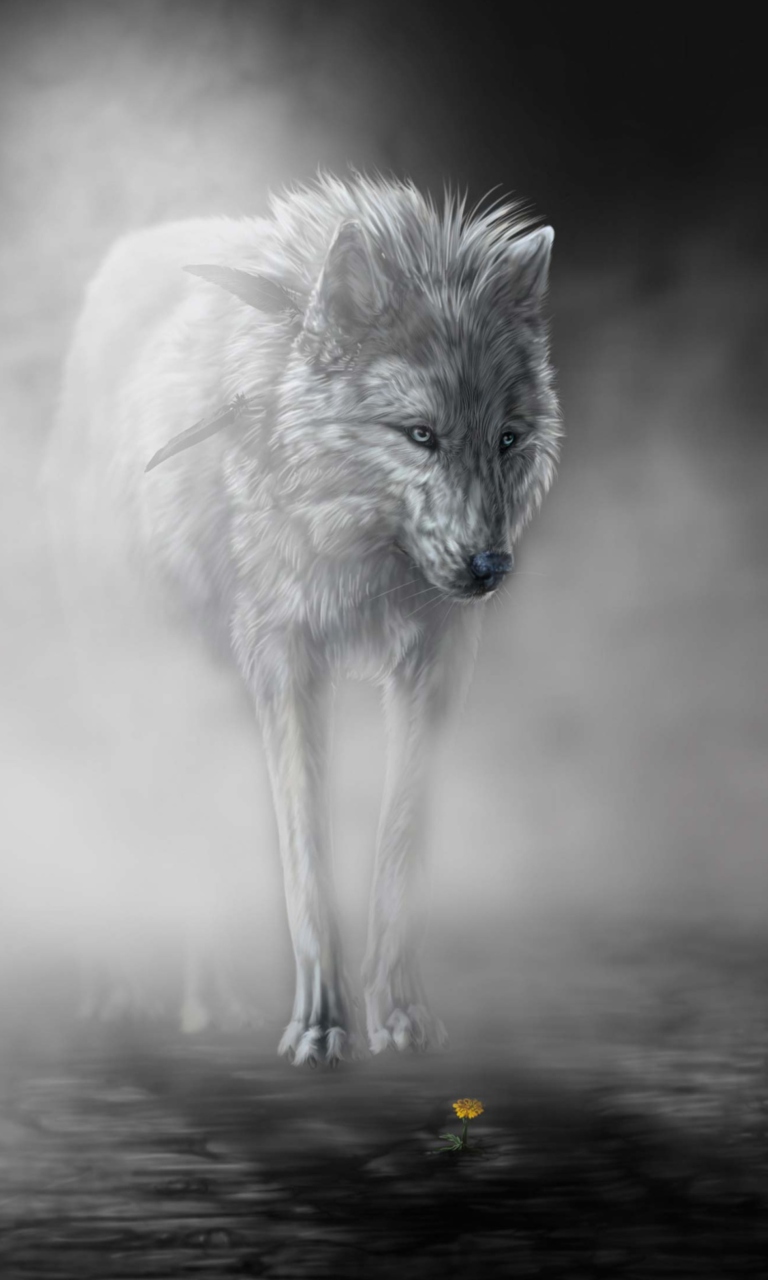 Обои Lonely Wolf 768x1280