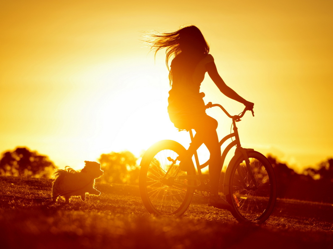 Fondo de pantalla Sunset Bicycle Ride 1280x960