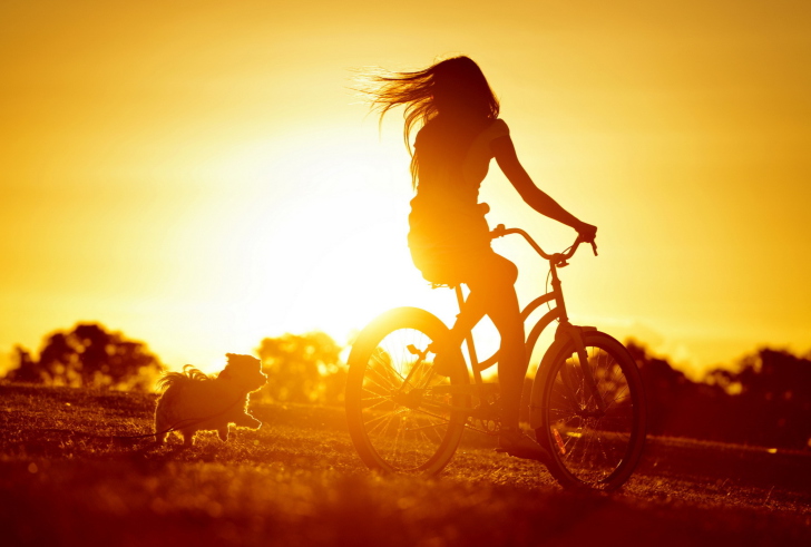 Sfondi Sunset Bicycle Ride