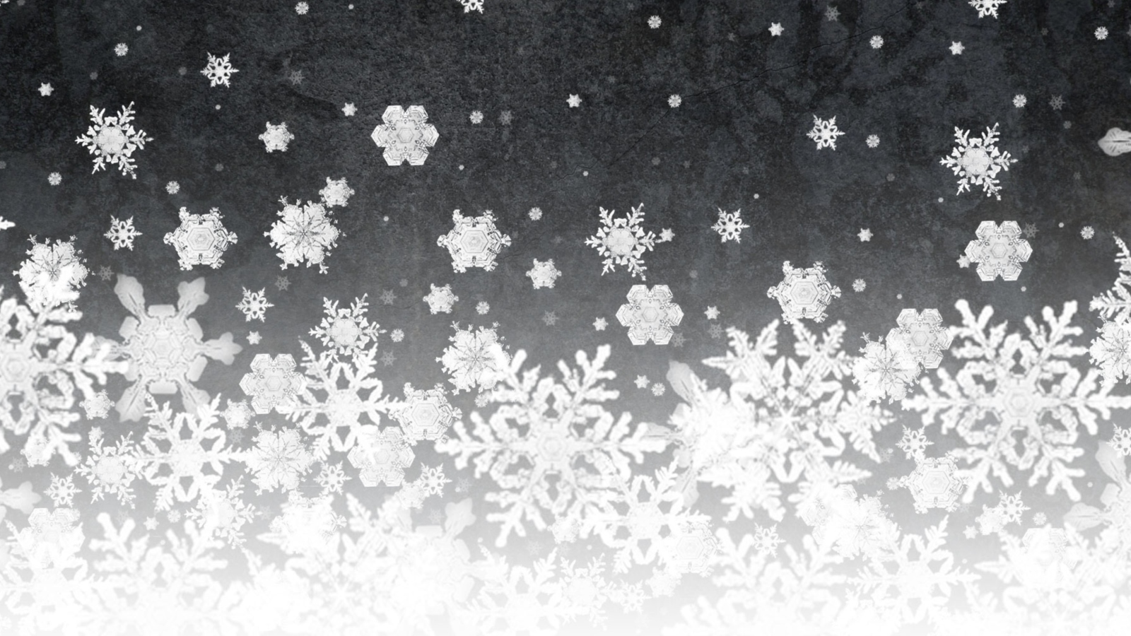 Screenshot №1 pro téma Snowflakes 1600x900