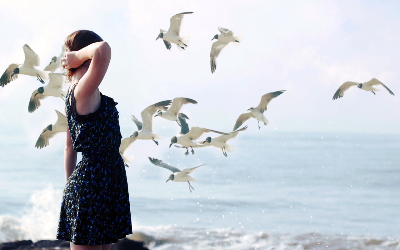 Girl On Sea Coast And Seagulls wallpaper 1280x800