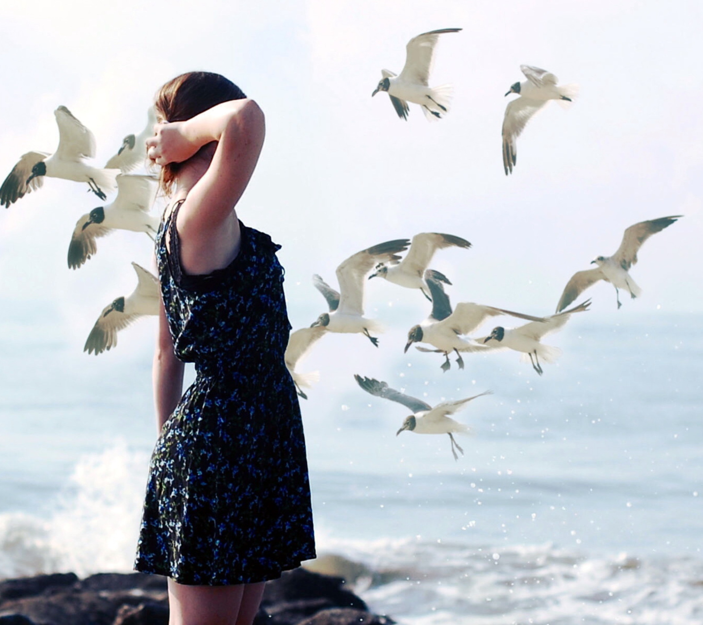 Das Girl On Sea Coast And Seagulls Wallpaper 1440x1280