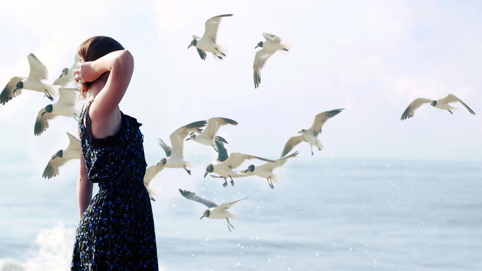 Обои Girl On Sea Coast And Seagulls 1600x900