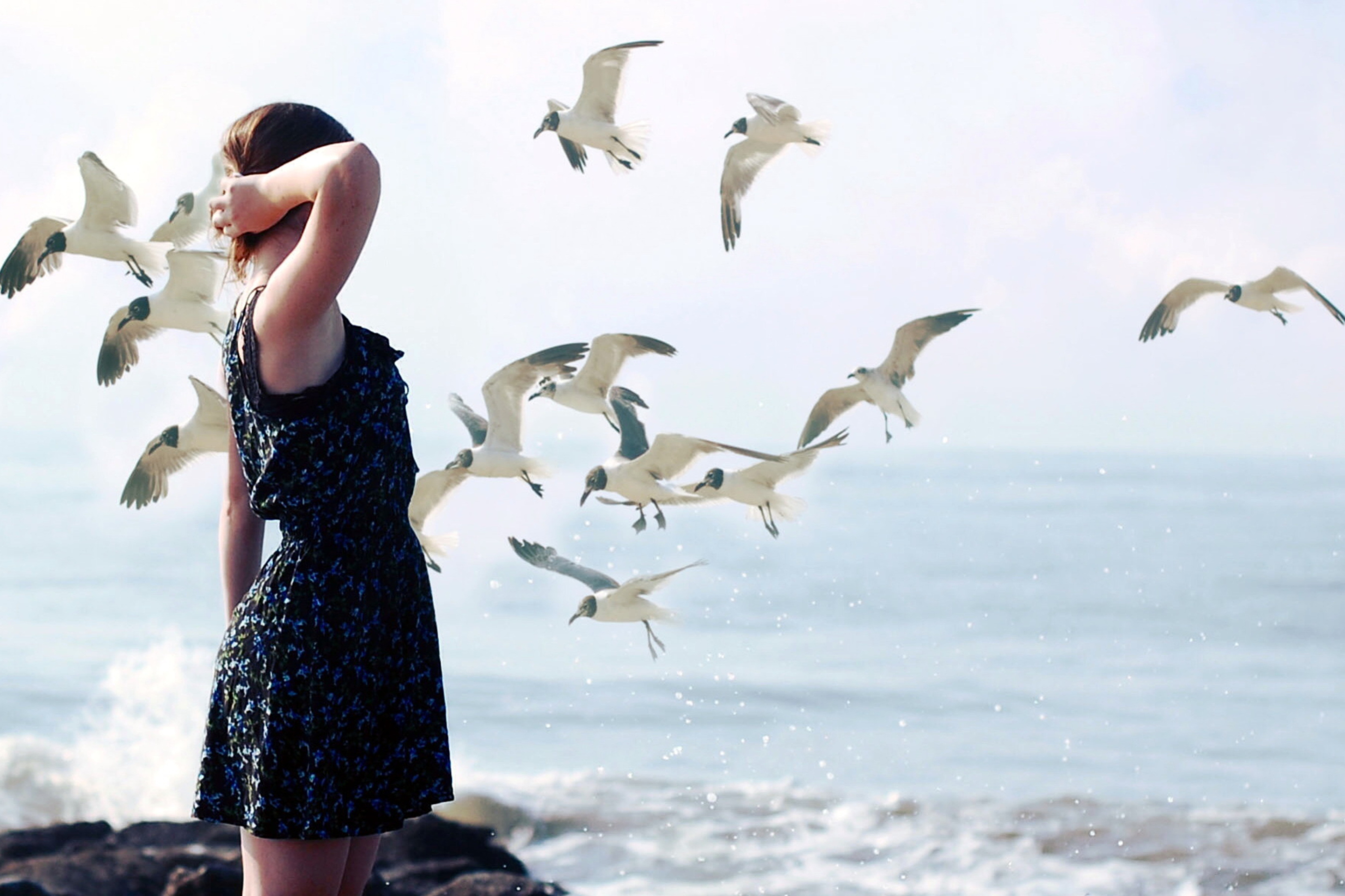 Das Girl On Sea Coast And Seagulls Wallpaper 2880x1920