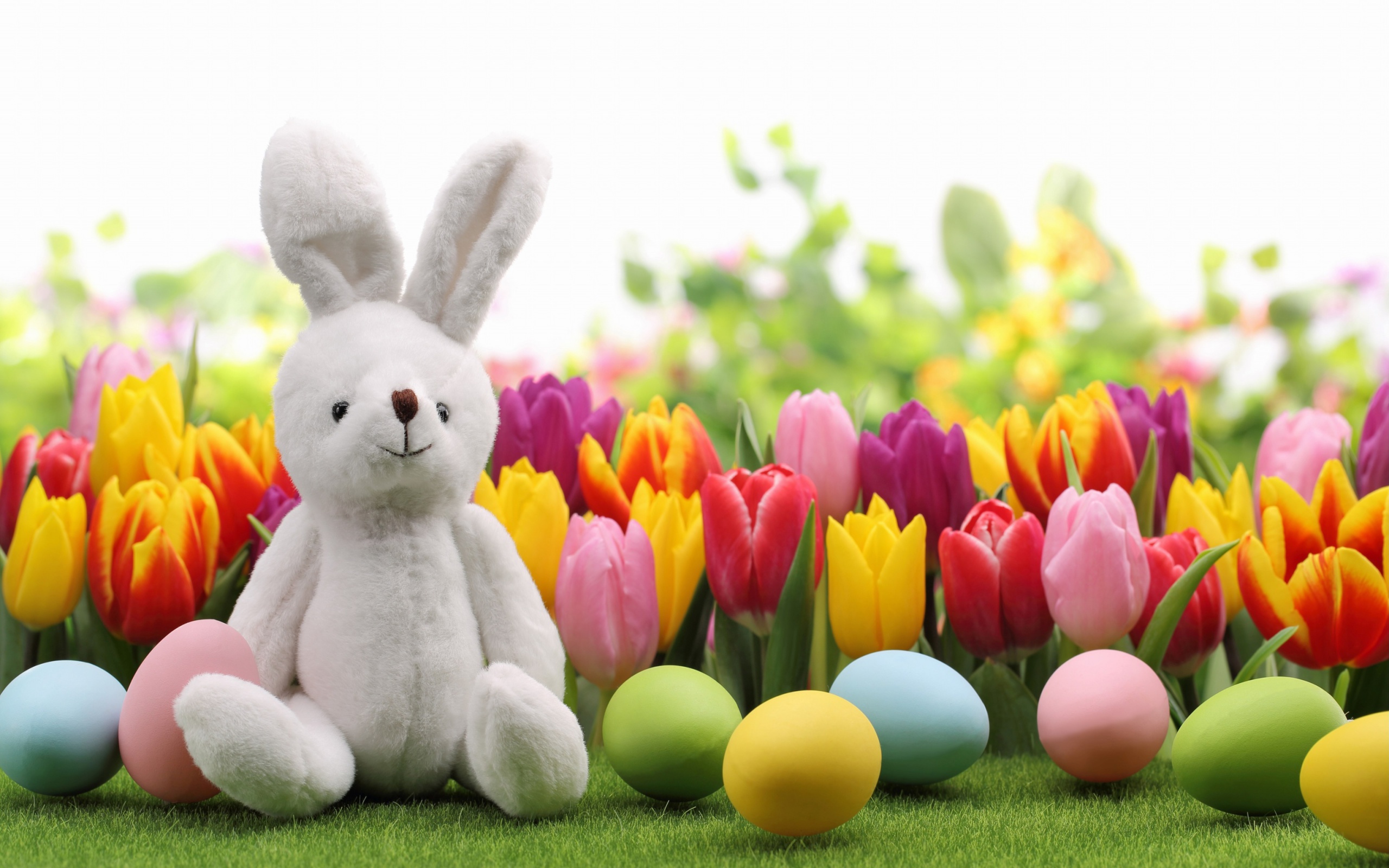 Screenshot №1 pro téma Happy Easter Wish 2560x1600