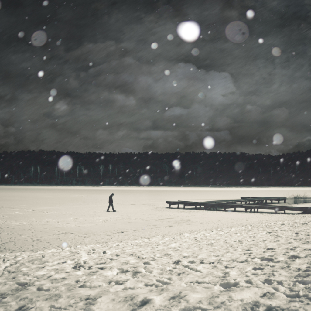 Alone Winter screenshot #1 1024x1024