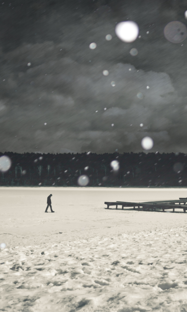 Alone Winter screenshot #1 768x1280