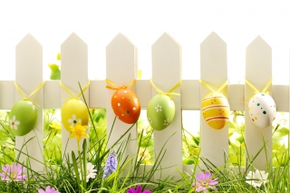 Easter Fence Background for Android, iPhone and iPad