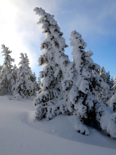 Canada Winter screenshot #1 240x320