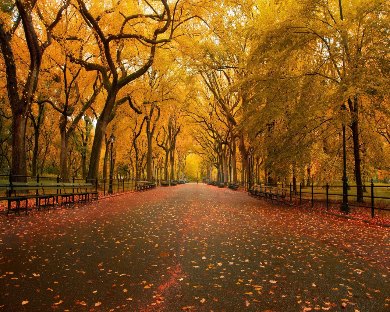 Screenshot №1 pro téma Autumn Way 1280x1024