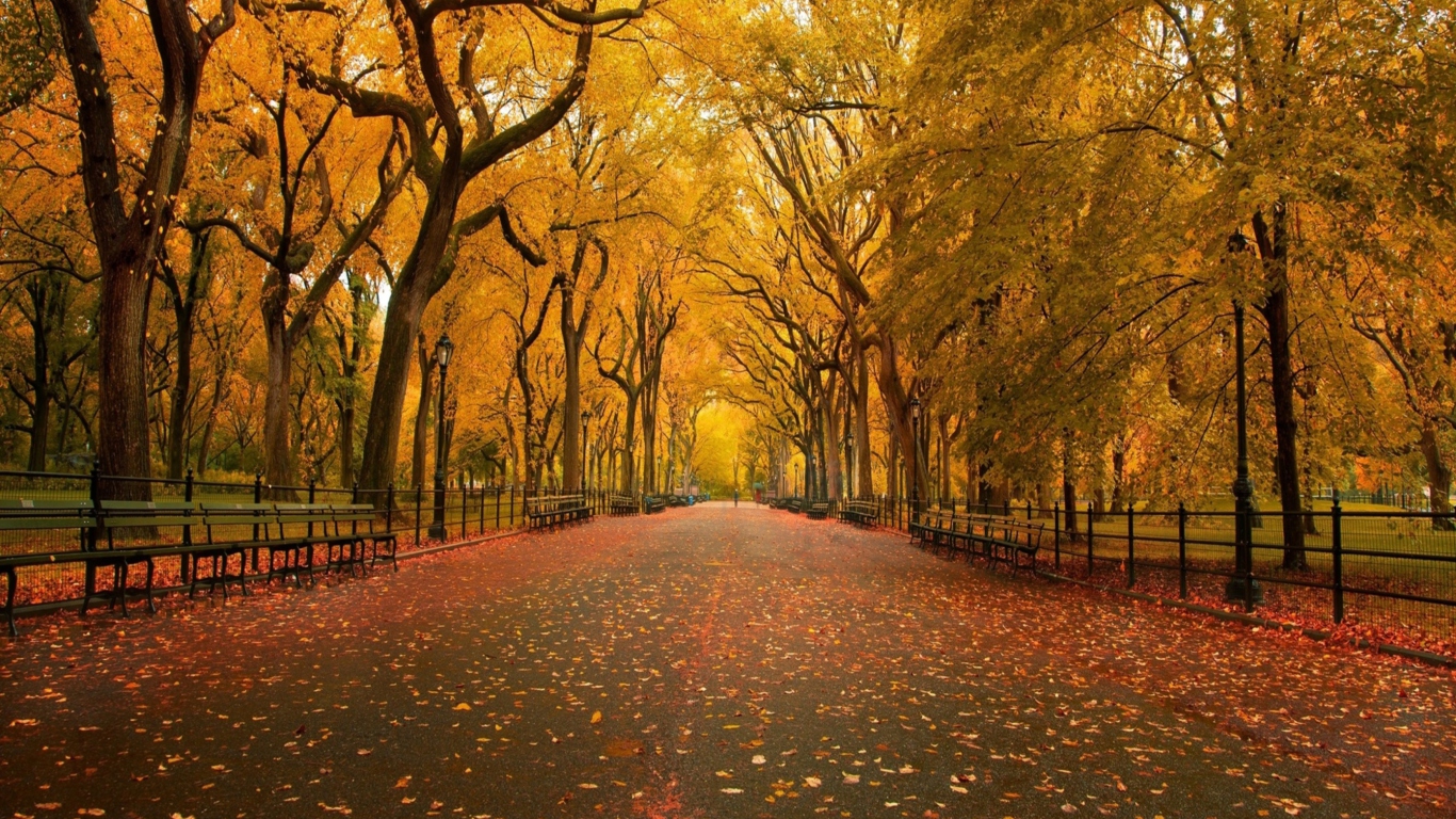 Screenshot №1 pro téma Autumn Way 1366x768