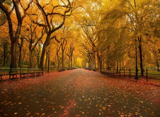 Autumn Way - Obrázkek zdarma pro 1280x1024