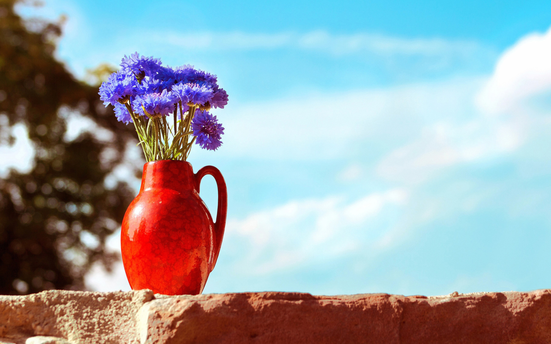Blue Bouquet In Red Vase screenshot #1 1920x1200