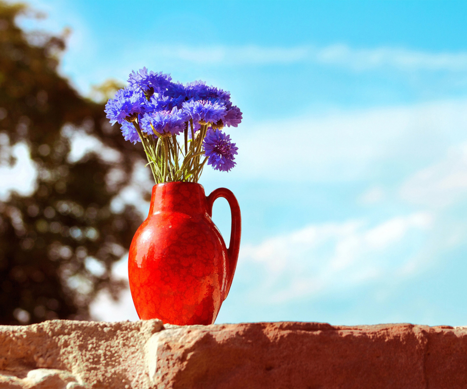 Das Blue Bouquet In Red Vase Wallpaper 960x800