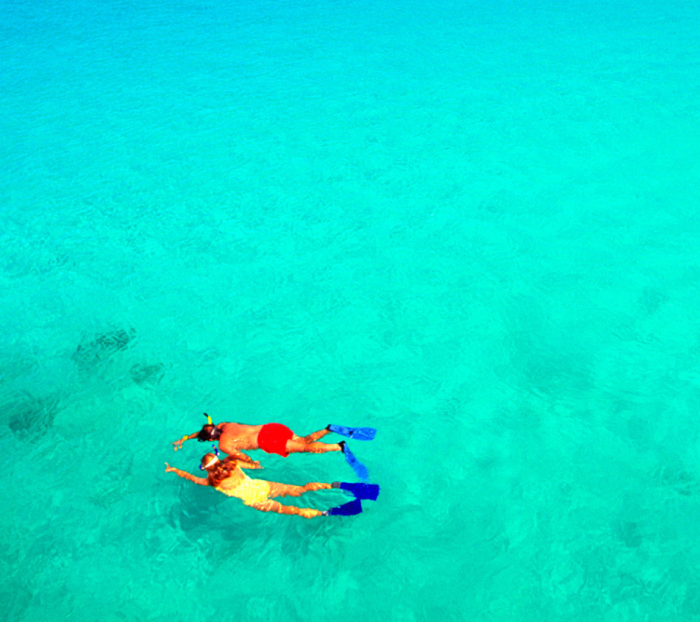 Screenshot №1 pro téma Snorkeling 1440x1280